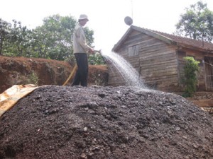 Hiểu biết về phân vi sinh vật Hiểu biết về phân vi sinh vật