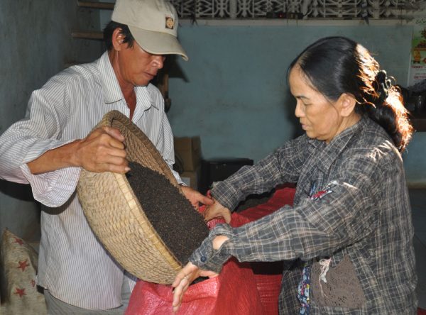 Hiện tiêu có giá 160.000-170.000 đồng/kg, thấp hơn 30.000- 50.000 đồng/kg so với những năm trước
